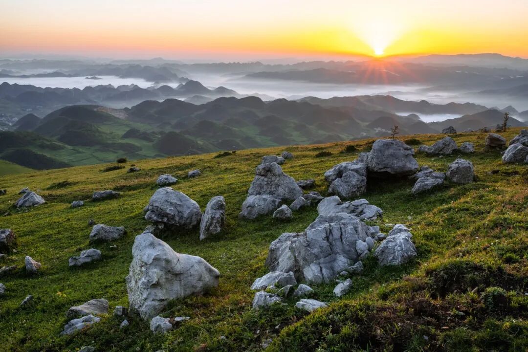 高铁直达！被4月漫山花海狠狠惊艳到！巨美