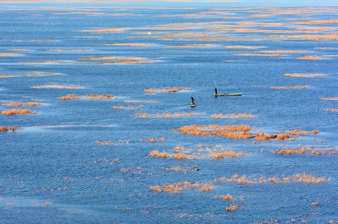 高铁直达！被4月漫山花海狠狠惊艳到！巨美