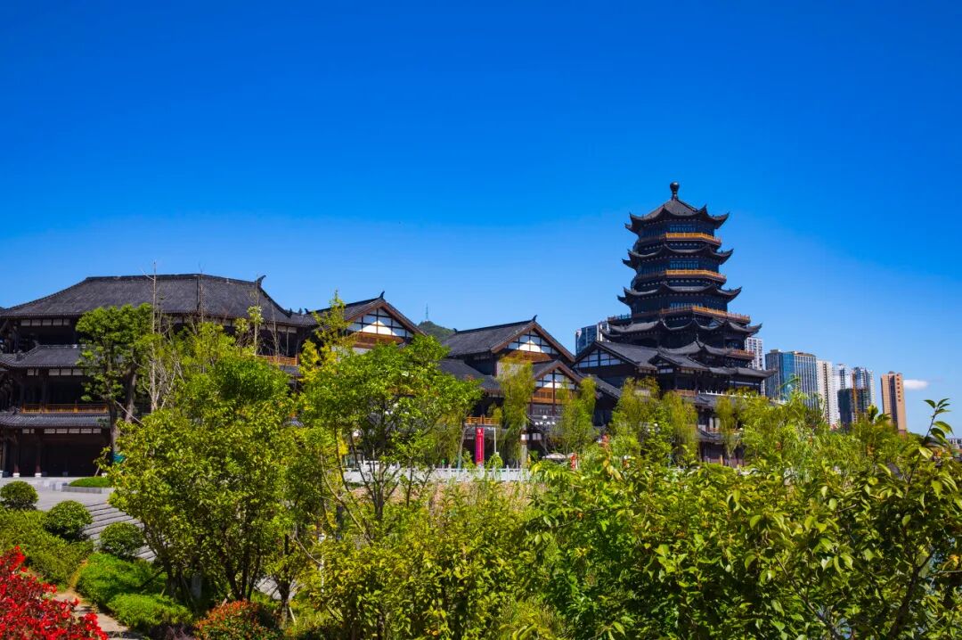 高铁直达！被4月漫山花海狠狠惊艳到！巨美