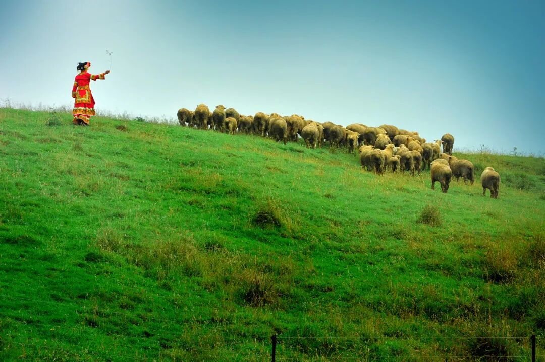 高铁直达！被4月漫山花海狠狠惊艳到！巨美