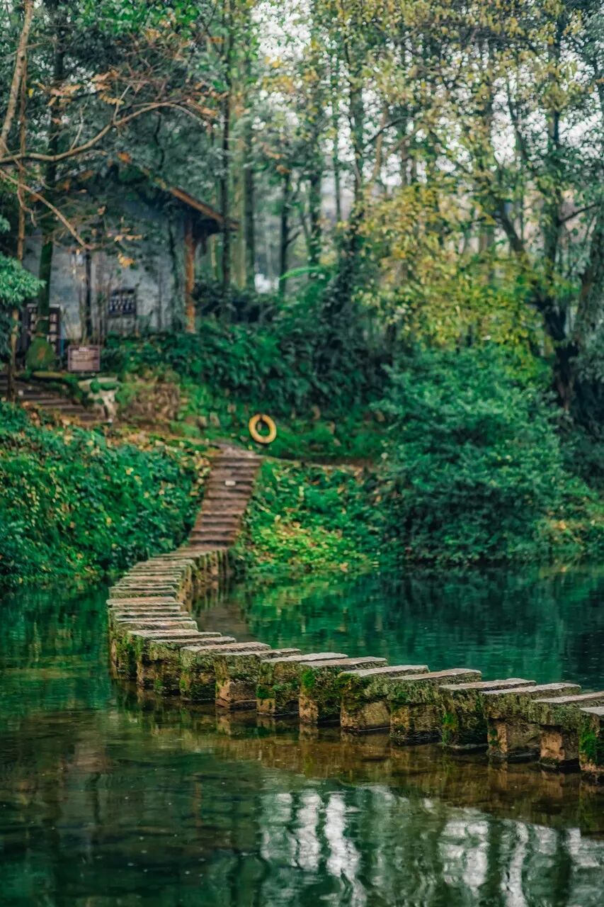 四川又一条古街爆火！门票0元，夜景不输大唐，被誉为“川西大宋不夜城”