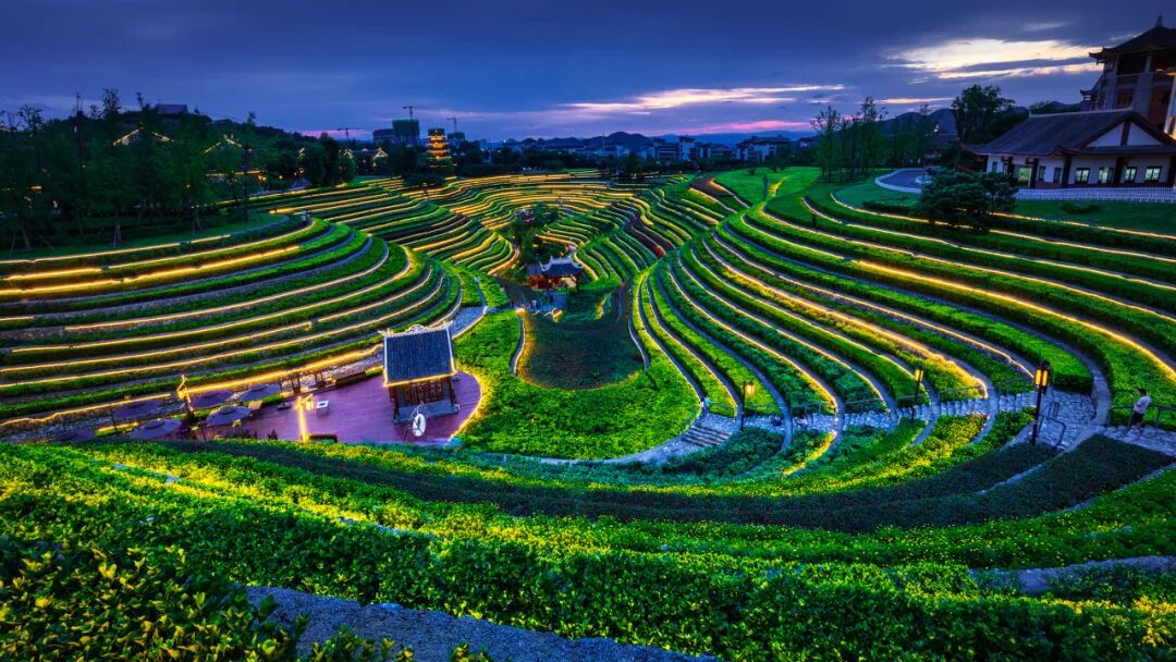 高铁直达！被4月漫山花海狠狠惊艳到！巨美