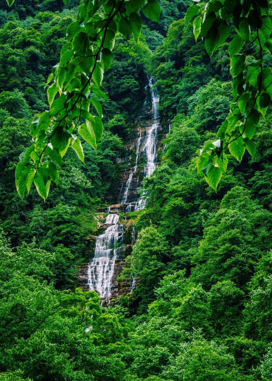 四川又一条古街爆火！门票0元，夜景不输大唐，被誉为“川西大宋不夜城”