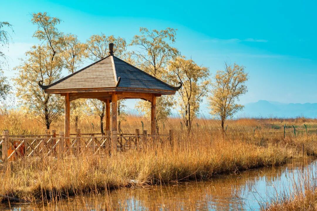 高铁直达！被4月漫山花海狠狠惊艳到！巨美