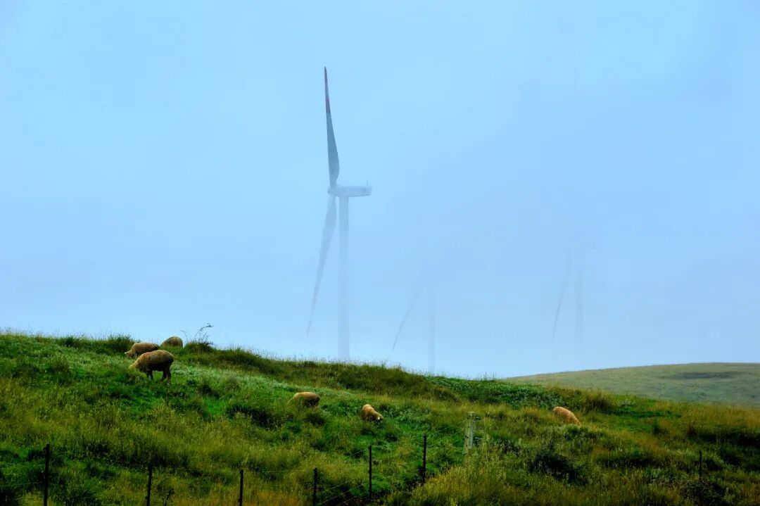 高铁直达！被4月漫山花海狠狠惊艳到！巨美