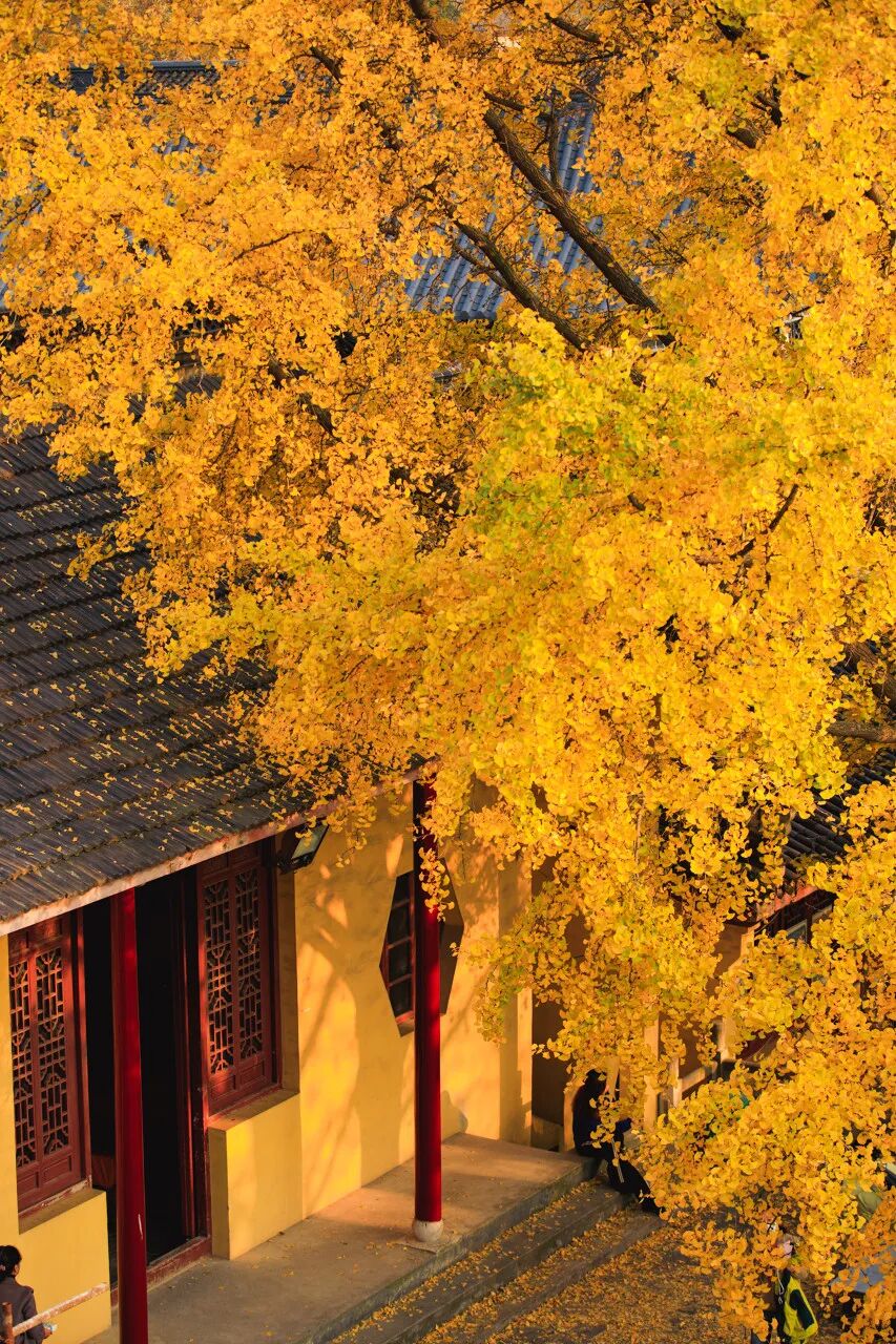 比南京更宜居、比扬州还传奇！这座被遗忘的千年古城，美得过分低调，居然还当过省会？