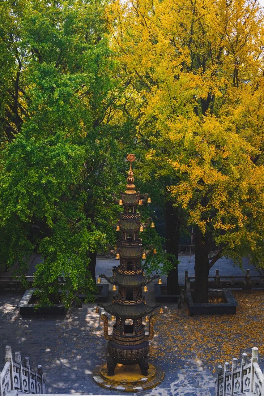 江苏“最小”的城市，面积只有苏州的1/2，比苏州浪漫，比杭州安逸，美到辛弃疾都赞不绝口！