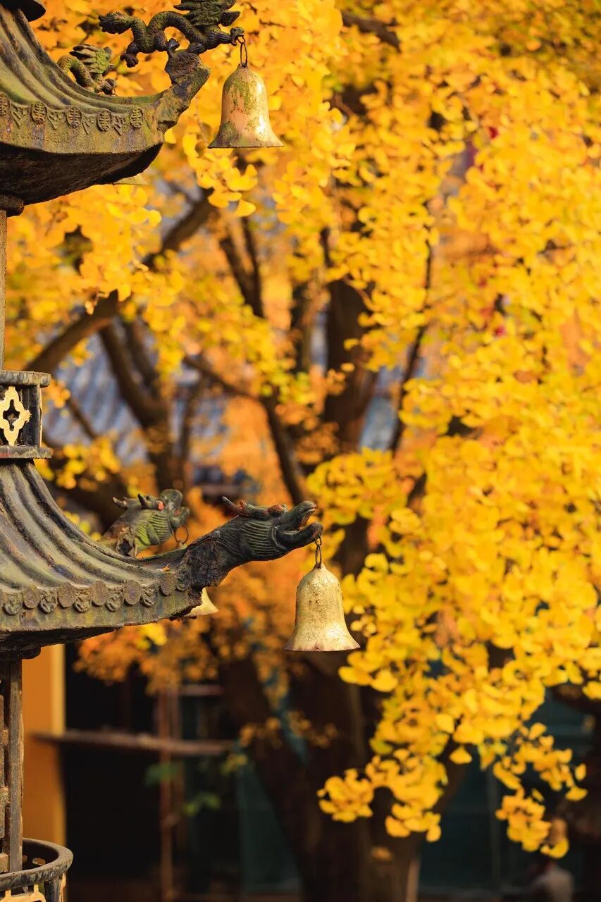 比南京更宜居、比扬州还传奇！这座被遗忘的千年古城，美得过分低调，居然还当过省会？