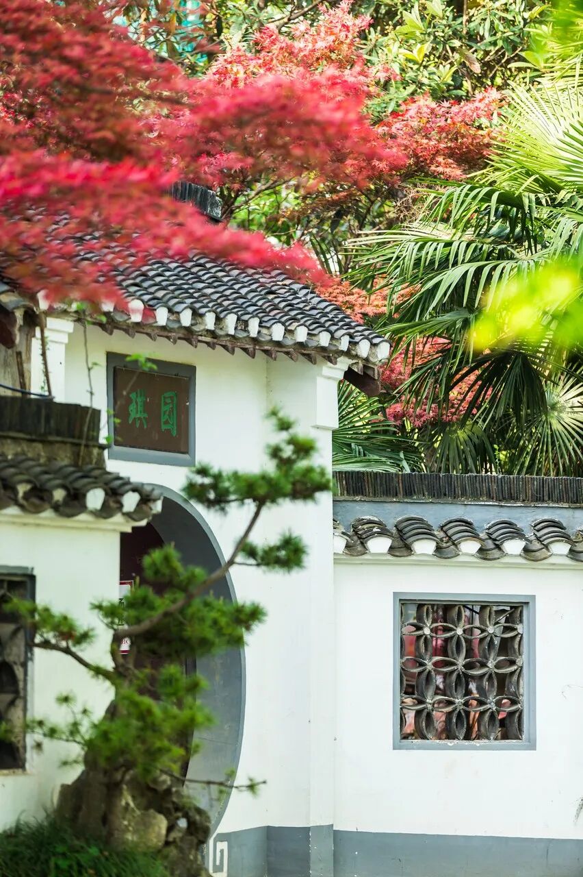 比南京更宜居、比扬州还传奇！这座被遗忘的千年古城，美得过分低调，居然还当过省会？