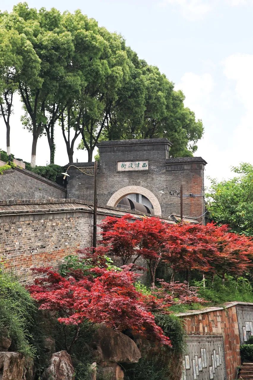 2024年镇江旅游：比南京更宜居、比扬州还传奇！这座被遗忘的千年古城，美得过分低调，居然还当过省会？