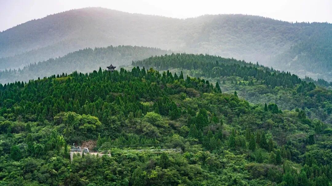 不是青岛！山东最“烟火”的小城，比丽江安逸，物价感人，美到心醉，凭一把烧烤让全国人民上瘾！