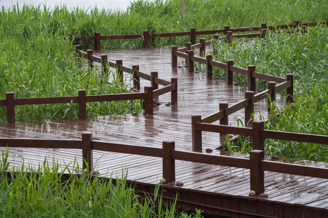 不是青岛！山东最“烟火”的小城，比丽江安逸，物价感人，美到心醉，凭一把烧烤让全国人民上瘾！