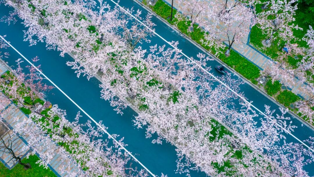 中国最宜居的城市，曾是世界No.1！比苏杭秀丽，比成都安逸，倦了就去小住几日