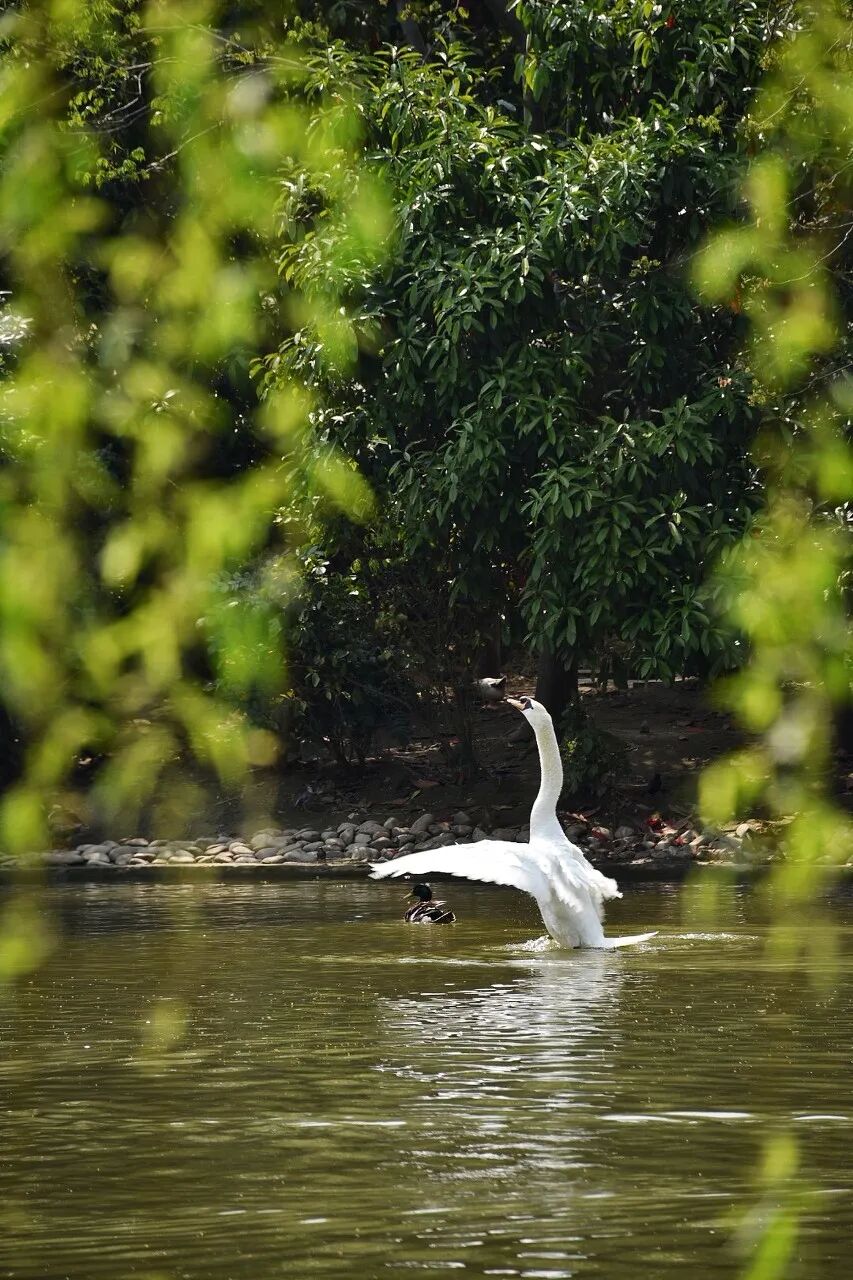 中国最宜居的城市，曾是世界No.1！比苏杭秀丽，比成都安逸，倦了就去小住几日