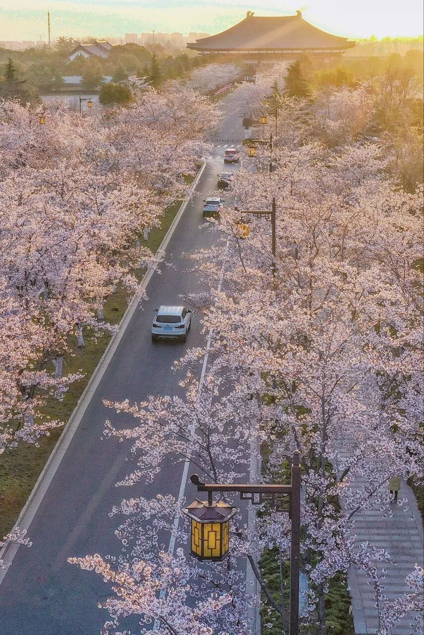 中国最宜居的城市，曾是世界No.1！比苏杭秀丽，比成都安逸，倦了就去小住几日