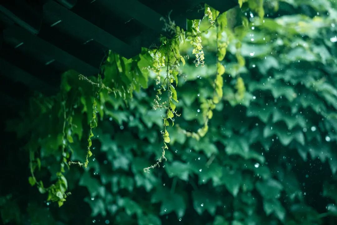 中国最宜居的城市，曾是世界No.1！比苏杭秀丽，比成都安逸，倦了就去小住几日