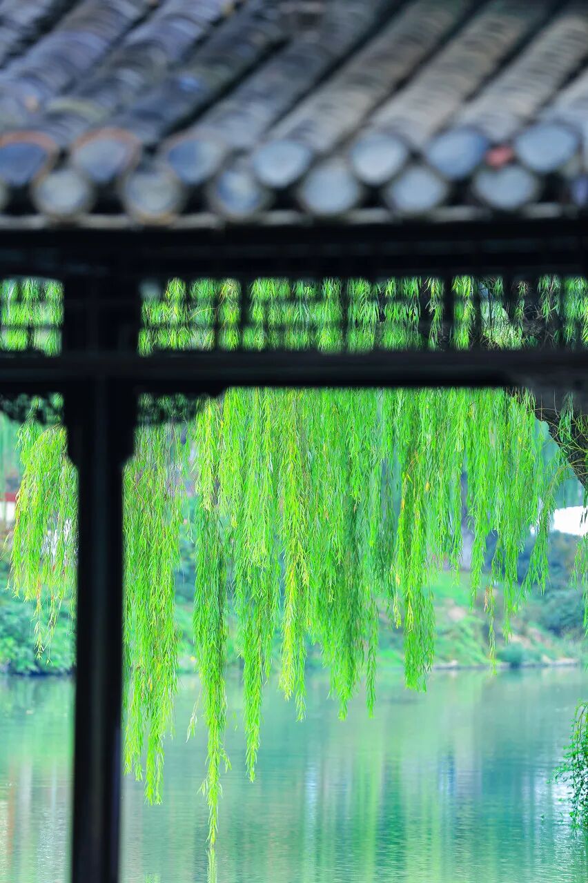 中国最宜居的城市，曾是世界No.1！比苏杭秀丽，比成都安逸，倦了就去小住几日