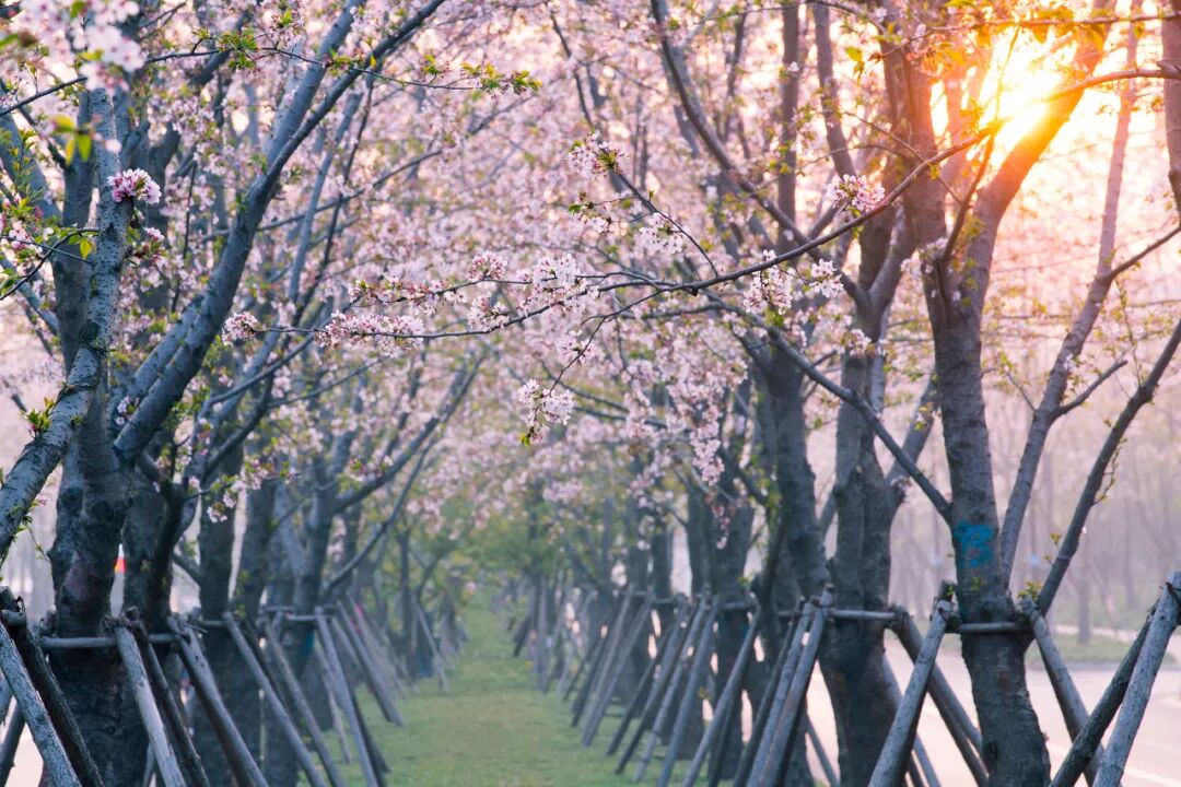 中国最宜居的城市，曾是世界No.1！比苏杭秀丽，比成都安逸，倦了就去小住几日