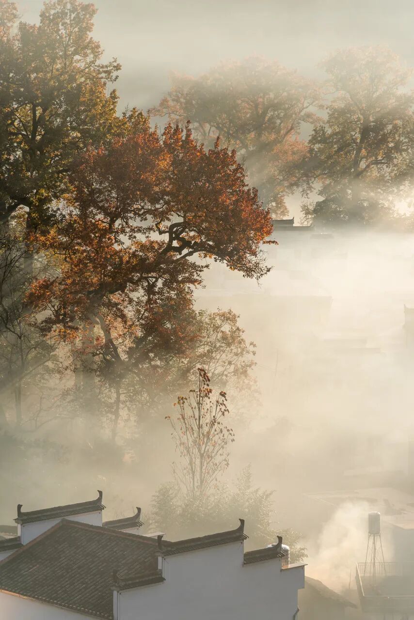 高铁直达！别去婺源挤了，这座花费26亿元打造的江西绝美古村，现实版的千与千寻，太仙了