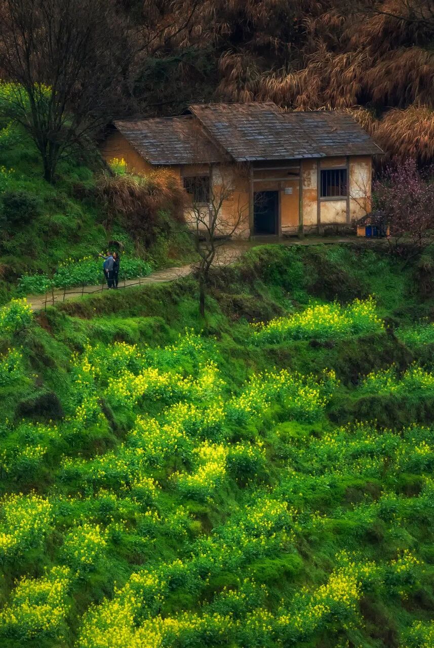 高铁直达！别去婺源挤了，这座花费26亿元打造的江西绝美古村，现实版的千与千寻，太仙了