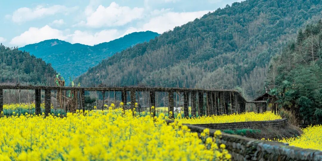 高铁直达！别去婺源挤了，这座花费26亿元打造的江西绝美古村，现实版的千与千寻，太仙了