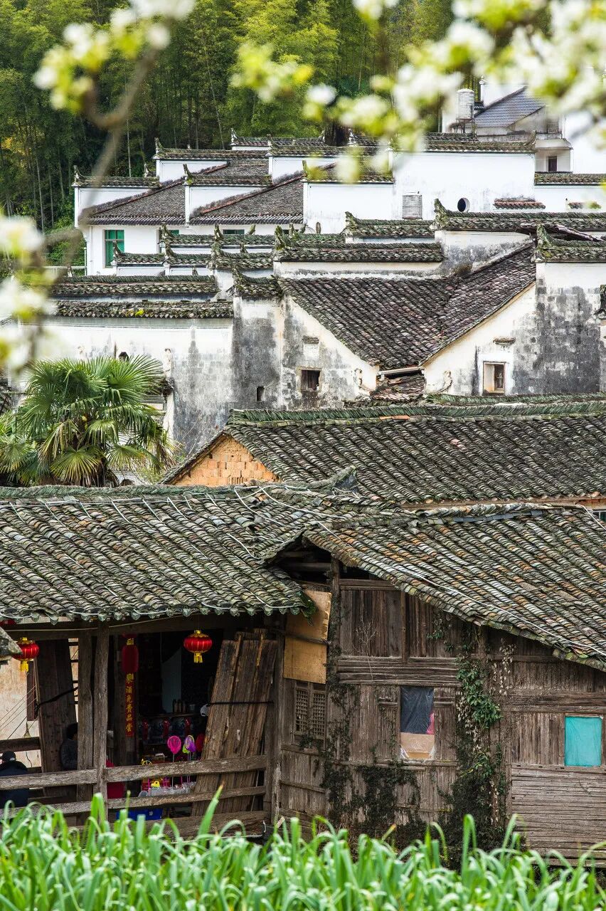 高铁直达！别去婺源挤了，这座花费26亿元打造的江西绝美古村，现实版的千与千寻，太仙了