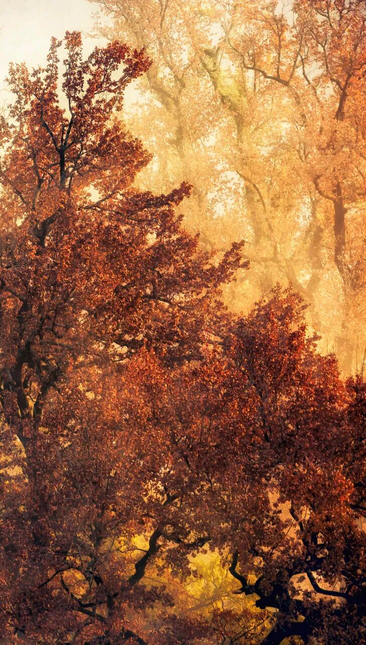 高铁直达！别去婺源挤了，这座花费26亿元打造的江西绝美古村，现实版的千与千寻，太仙了