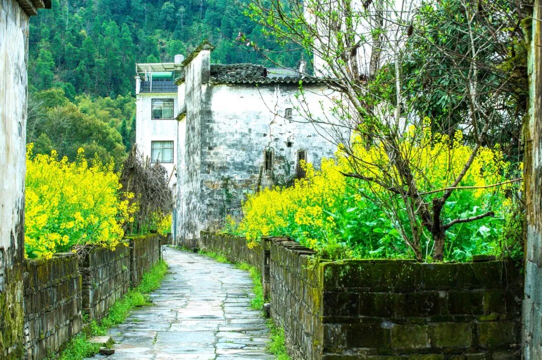 高铁直达！别去婺源挤了，这座花费26亿元打造的江西绝美古村，现实版的千与千寻，太仙了
