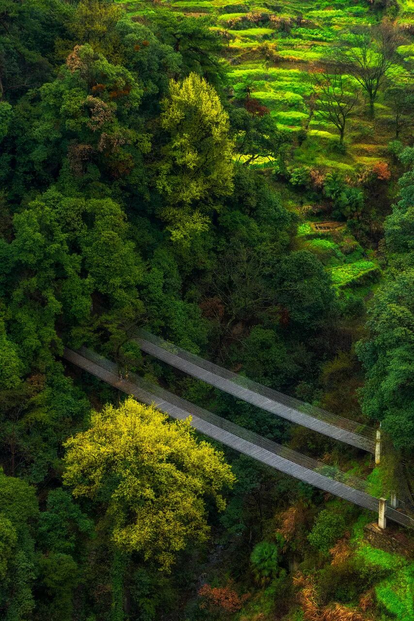 高铁直达！别去婺源挤了，这座花费26亿元打造的江西绝美古村，现实版的千与千寻，太仙了