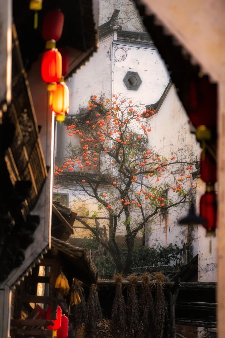 高铁直达！别去婺源挤了，这座花费26亿元打造的江西绝美古村，现实版的千与千寻，太仙了