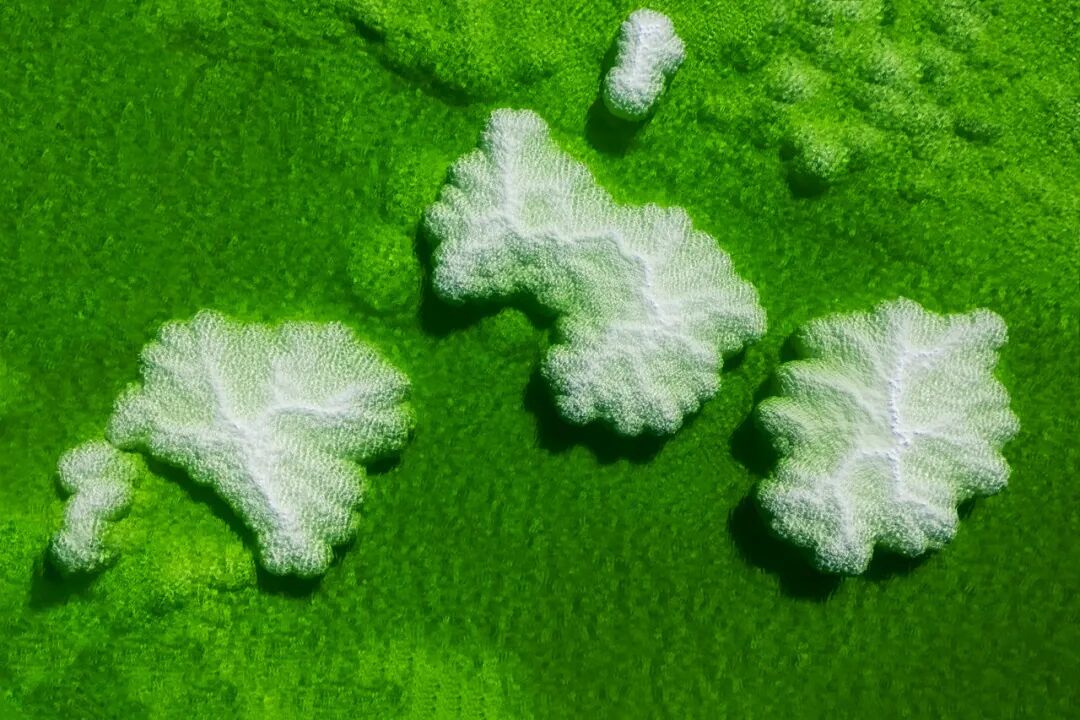 囤盐风波背后的真相！中国最大的“天空之镜"曝光，比茶卡盐湖大56倍，价值12万亿，够全世界人口吃1000年！