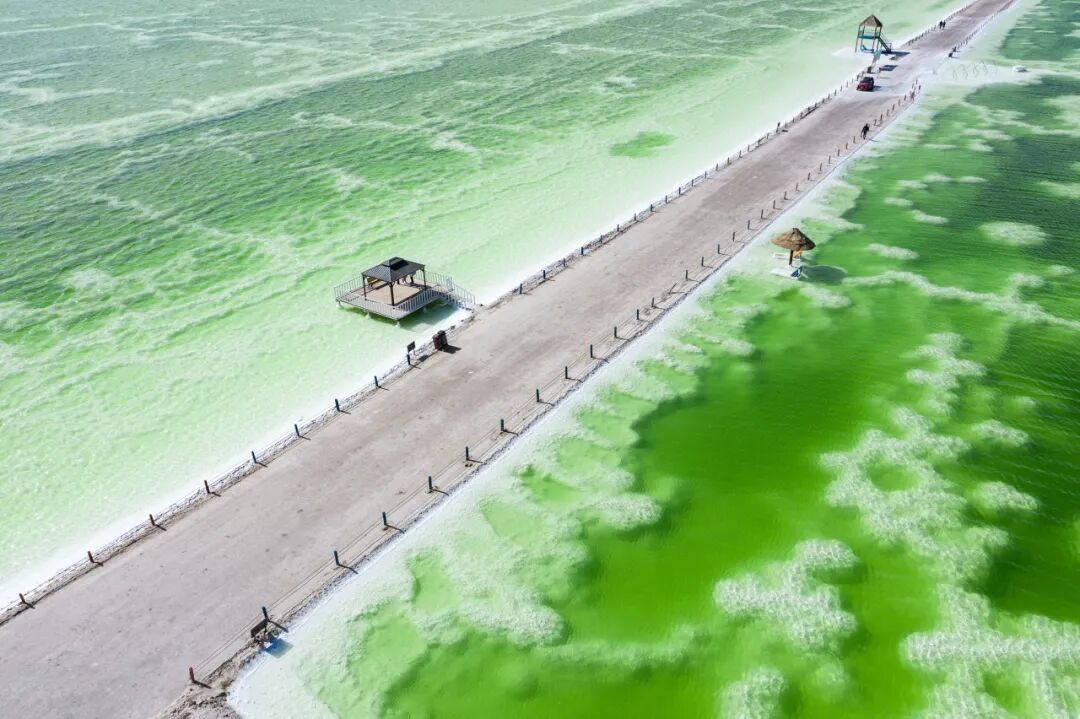 囤盐风波背后的真相！中国最大的“天空之镜"曝光，比茶卡盐湖大56倍，价值12万亿，够全世界人口吃1000年！