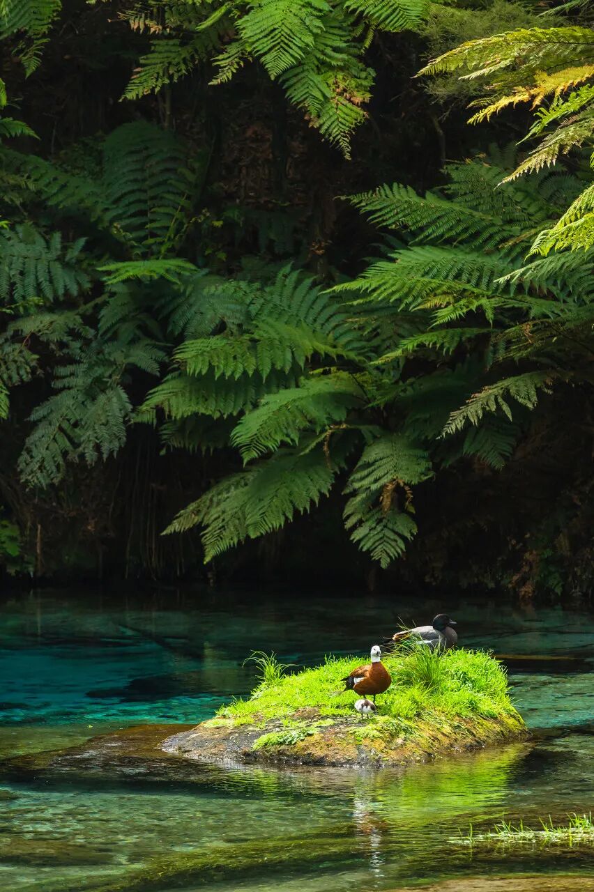 世界最孤独的国家，方圆1600公里没有邻国，一年放假140天，钱多到花不完，风景美如天堂