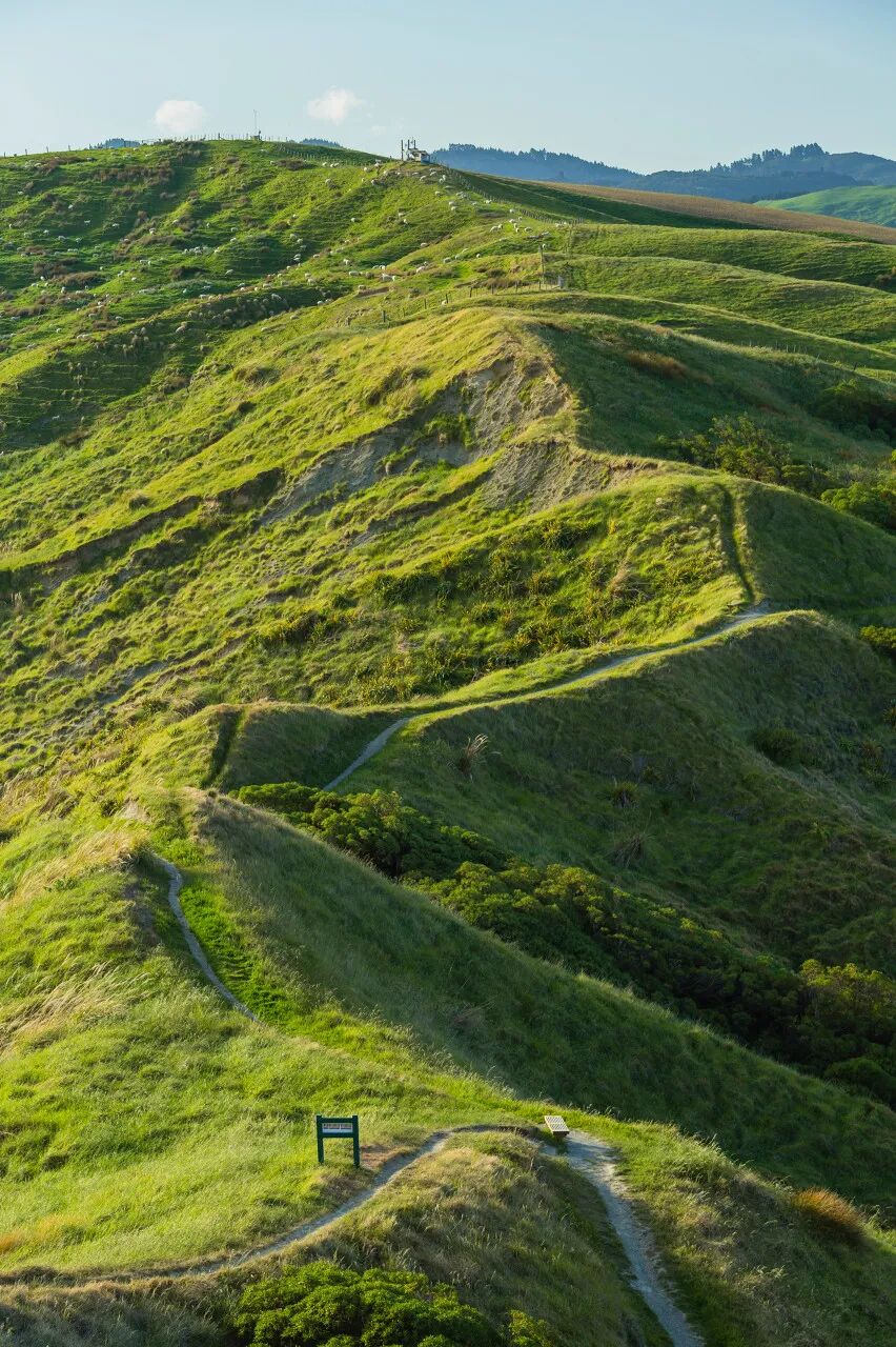 世界最孤独的国家，方圆1600公里没有邻国，一年放假140天，钱多到花不完，风景美如天堂