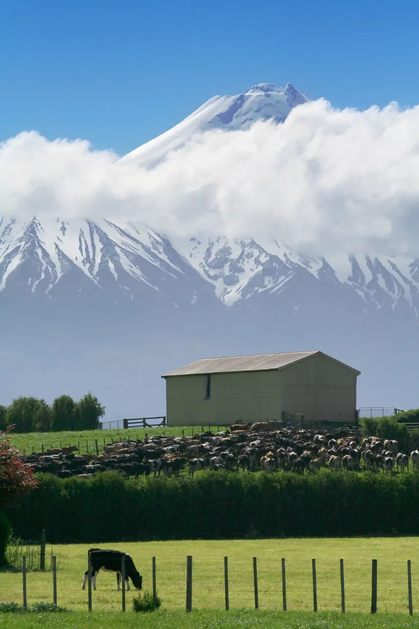 世界最孤独的国家，方圆1600公里没有邻国，一年放假140天，钱多到花不完，风景美如天堂
