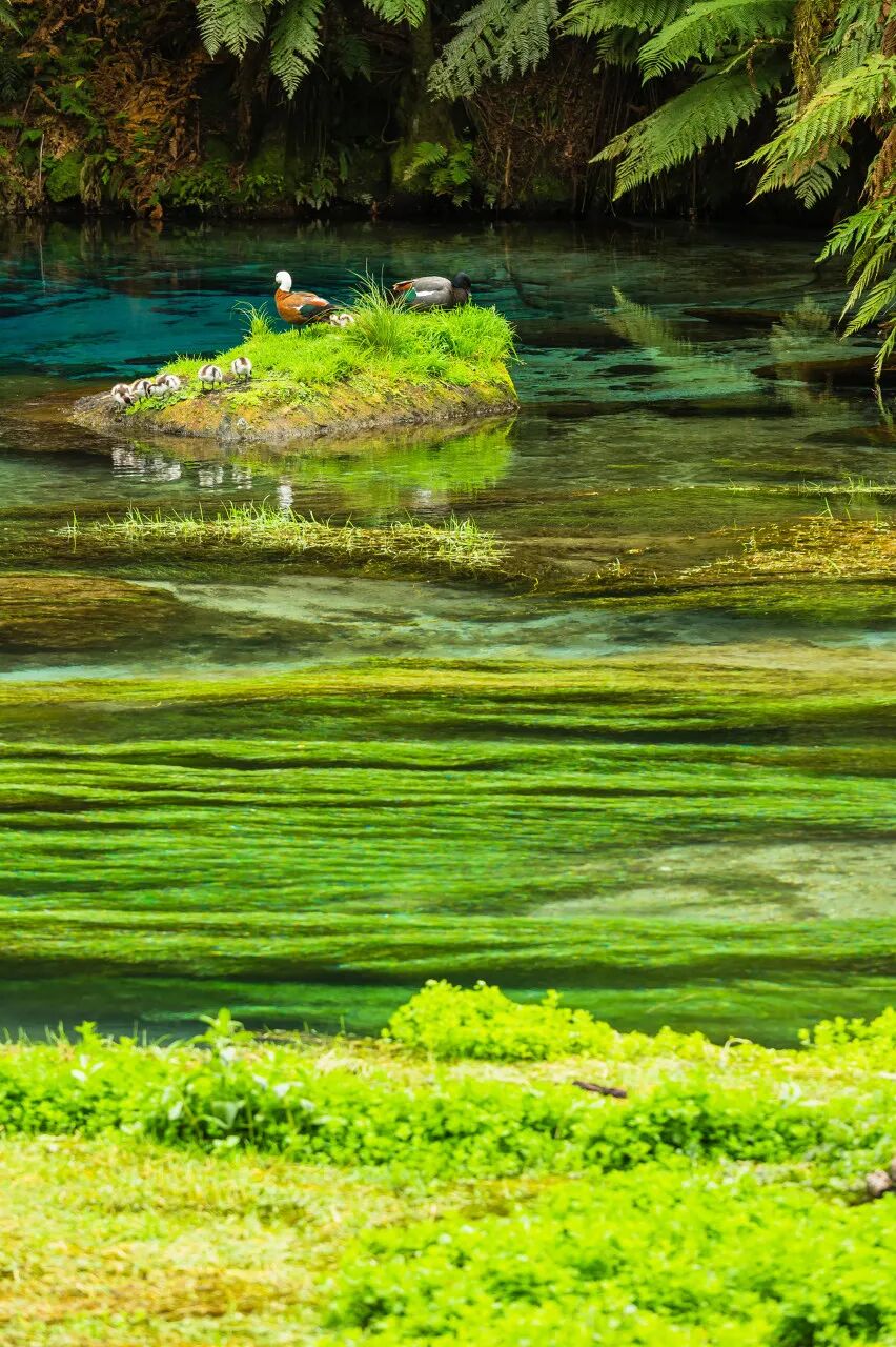 世界最孤独的国家，方圆1600公里没有邻国，一年放假140天，钱多到花不完，风景美如天堂