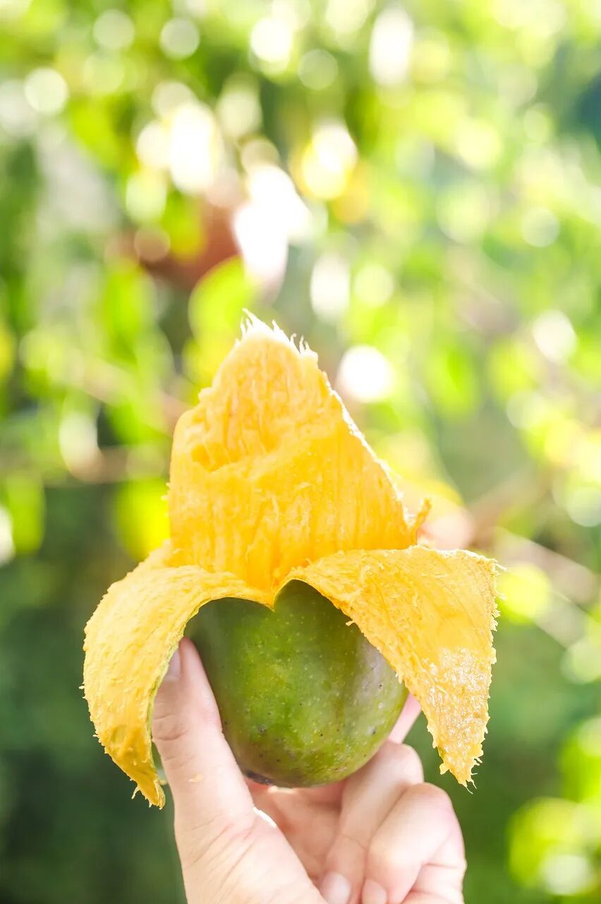 中国最“色”的边境小城，比昆明宜居，比桂林丰满，又甜又野，还稳居世界长寿Top1