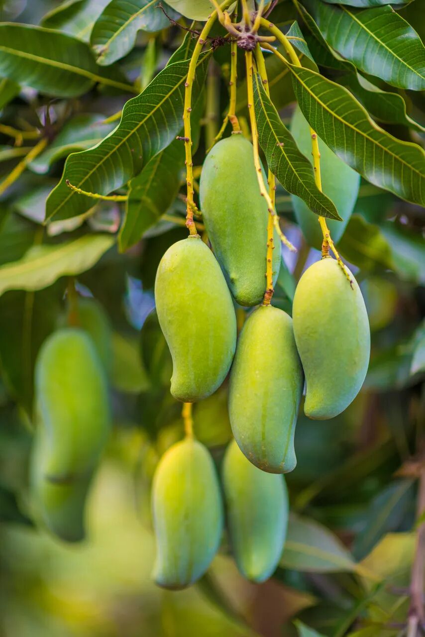 中国最“色”的边境小城，比昆明宜居，比桂林丰满，又甜又野，还稳居世界长寿Top1