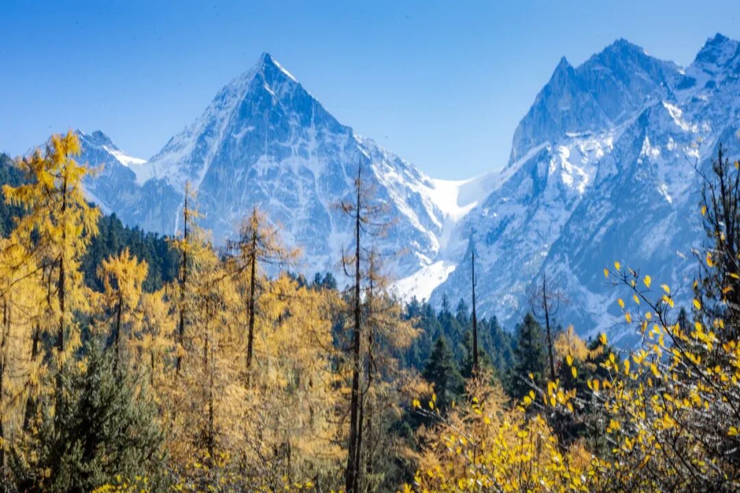 中国秋景0差评的小县城，不输九寨，红叶林是北京香山的180倍，浓缩了整个川西的精华，美疯！