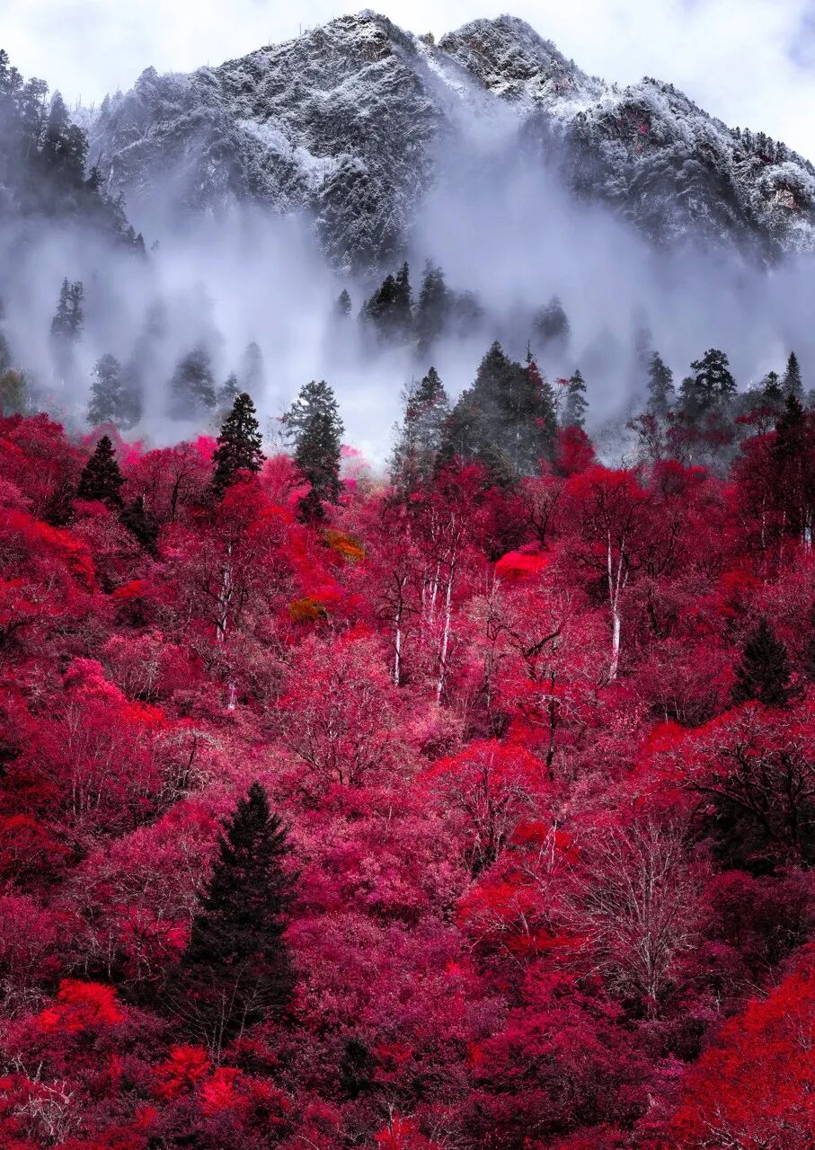 中国秋景0差评的小县城，不输九寨，红叶林是北京香山的180倍，浓缩了整个川西的精华，美疯！