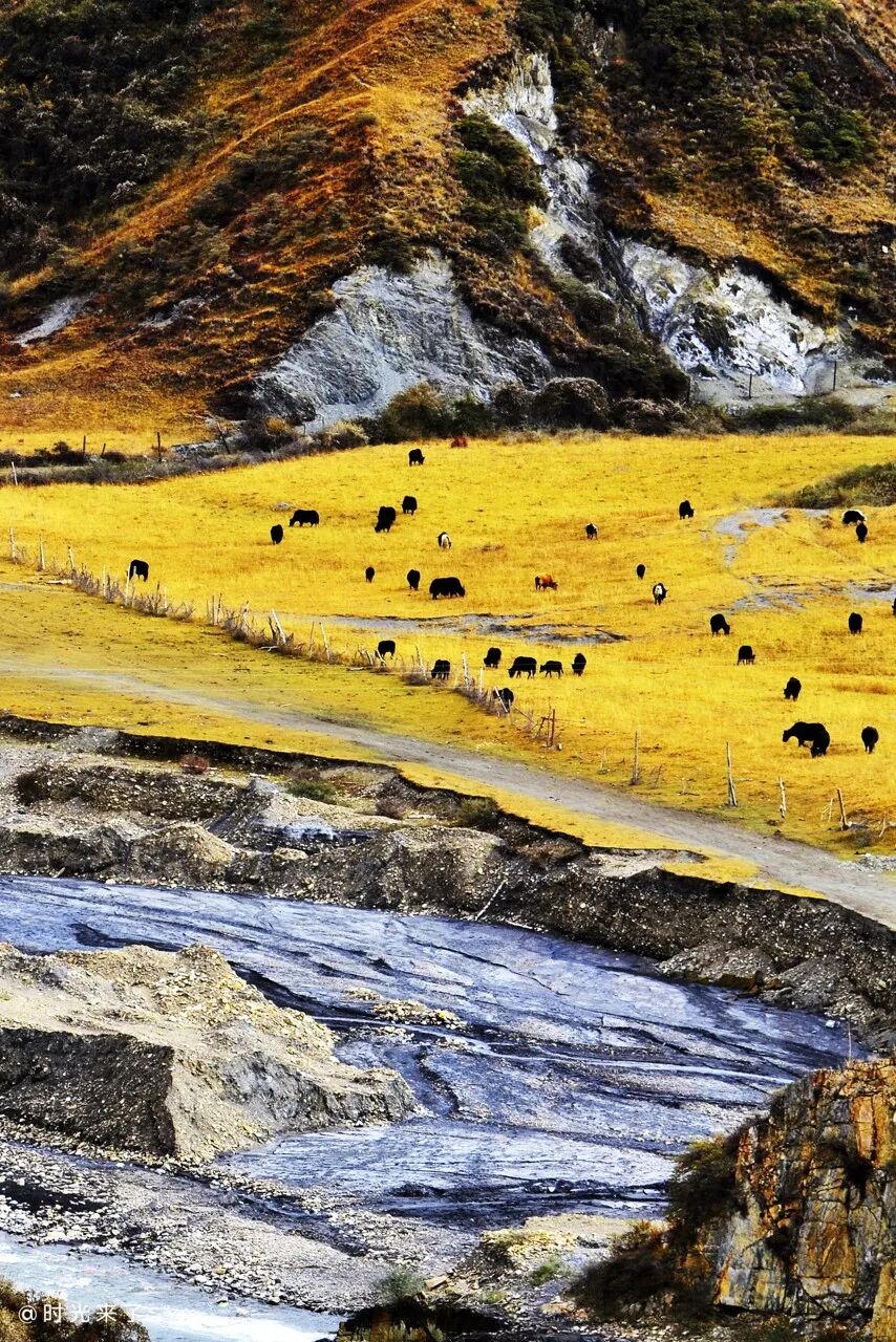 中国秋景0差评的小县城，不输九寨，红叶林是北京香山的180倍，浓缩了整个川西的精华，美疯！