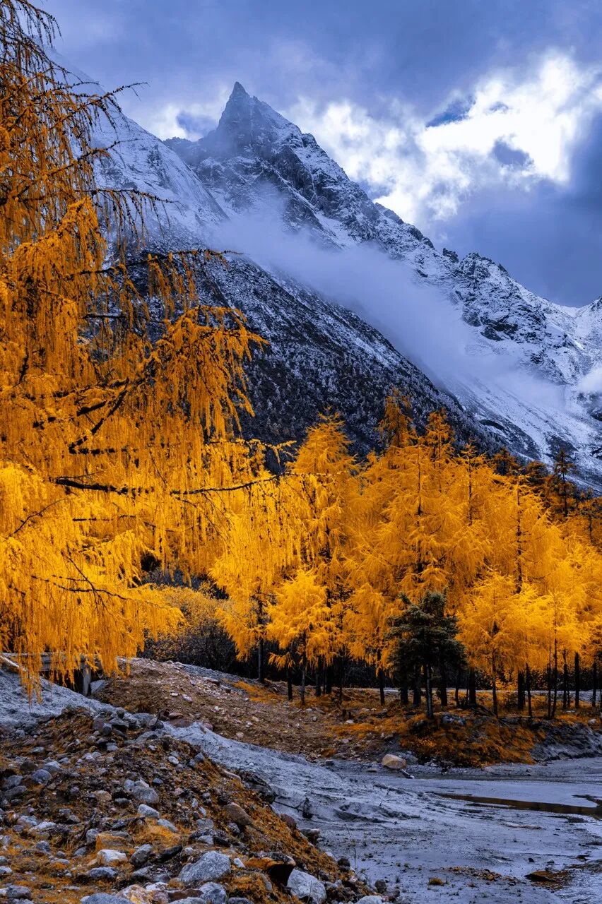 中国秋景0差评的小县城，不输九寨，红叶林是北京香山的180倍，浓缩了整个川西的精华，美疯！