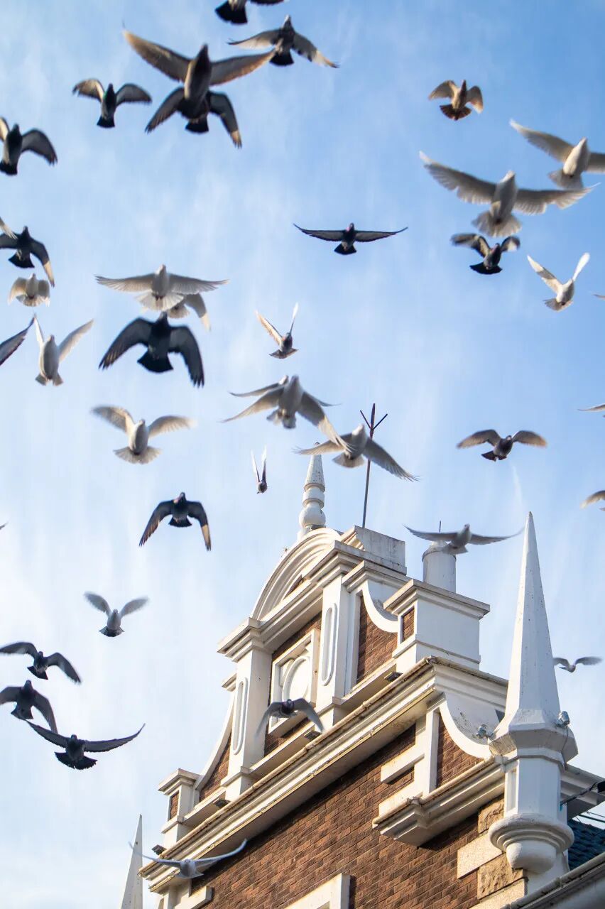 中国唯一以皇帝命名的城市，夏季均温23℃，北方避暑天堂，90%的人却都玩错了地方！