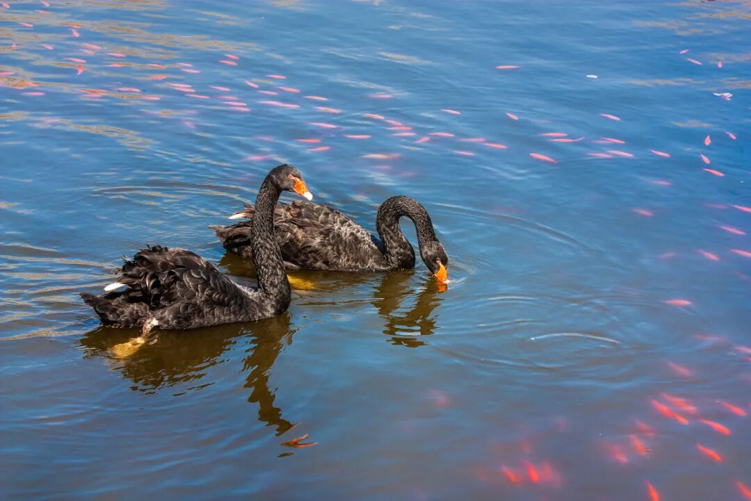 中国唯一以皇帝命名的城市，夏季均温23℃，北方避暑天堂，90%的人却都玩错了地方！