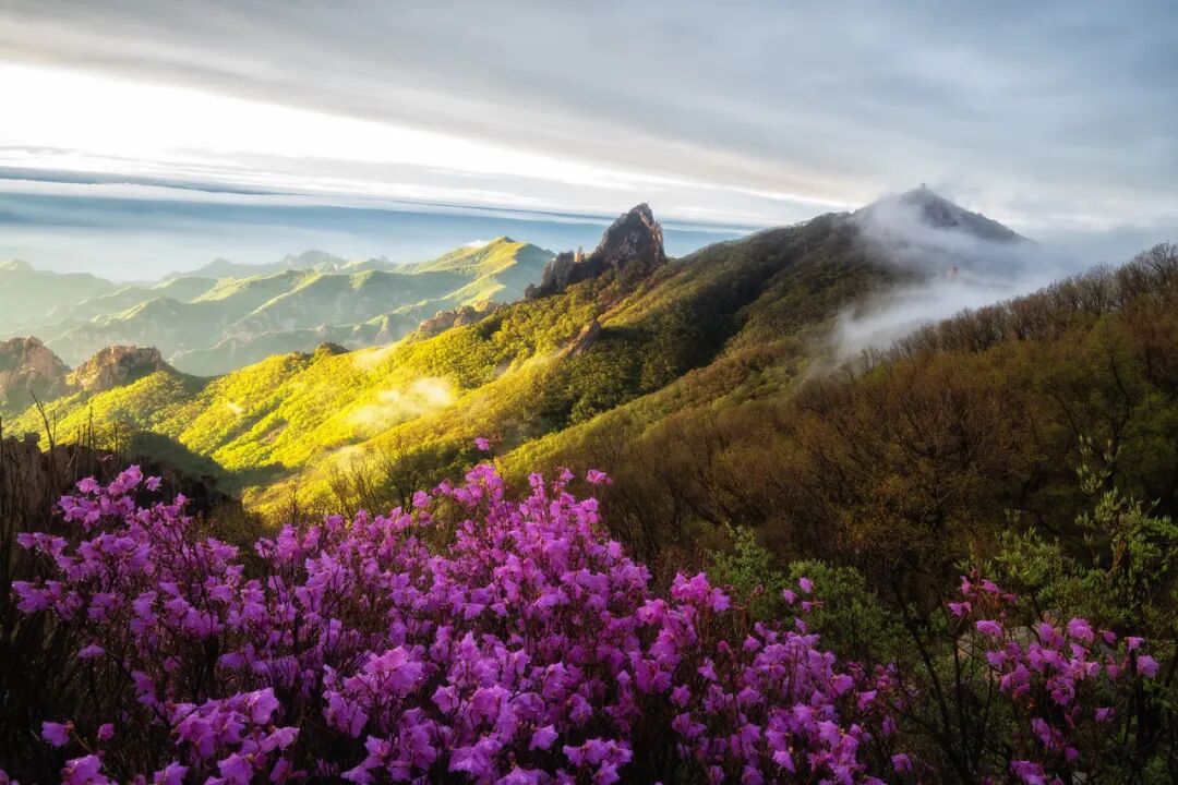 中国唯一以皇帝命名的城市，夏季均温23℃，北方避暑天堂，90%的人却都玩错了地方！