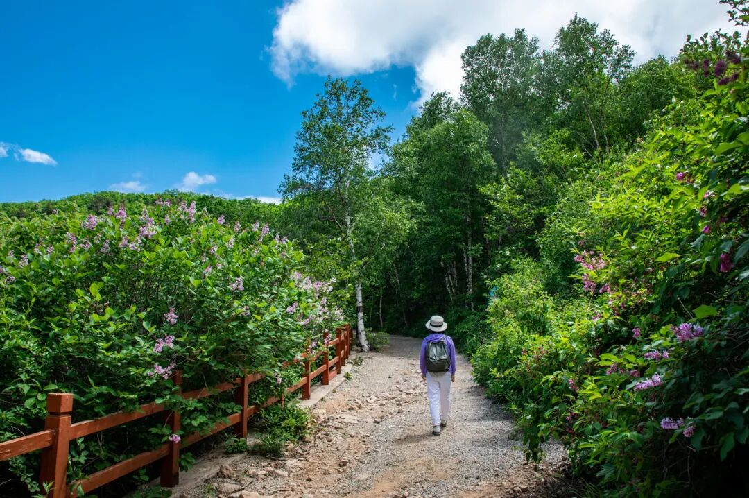 中国唯一以皇帝命名的城市，夏季均温23℃，北方避暑天堂，90%的人却都玩错了地方！