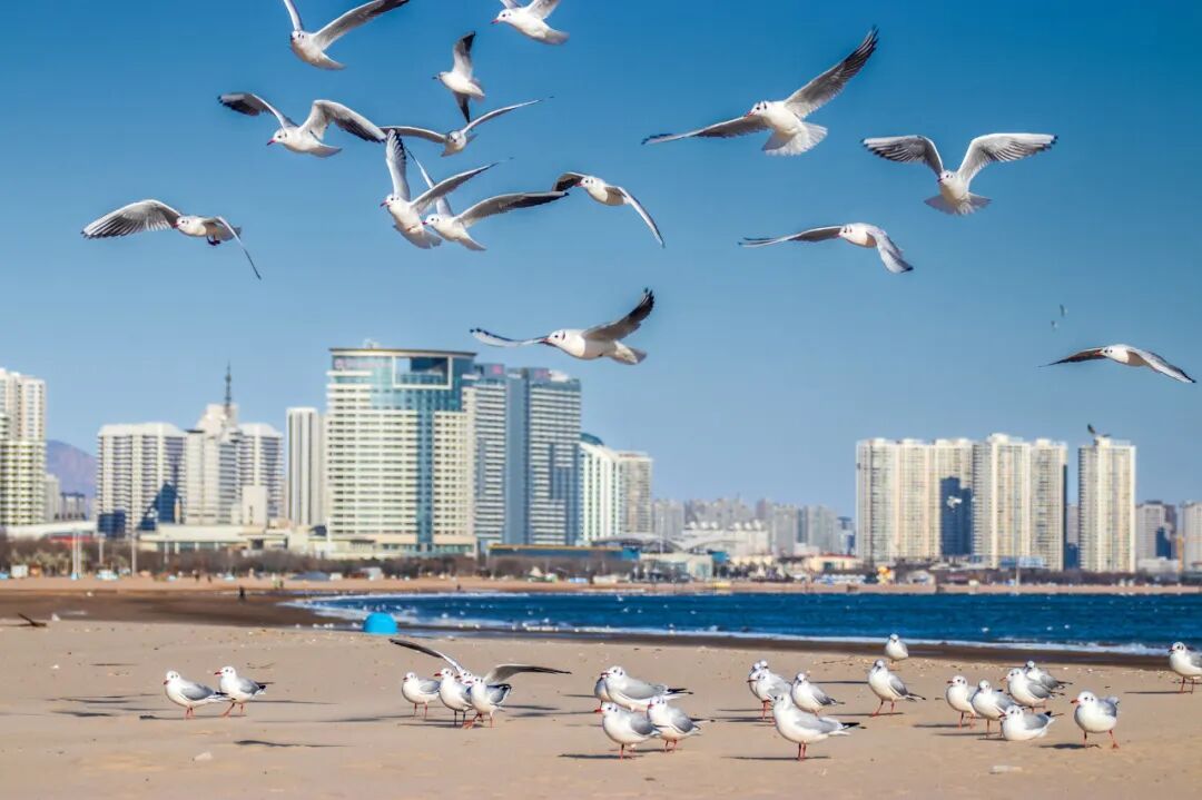 中国唯一以皇帝命名的城市，夏季均温23℃，北方避暑天堂，90%的人却都玩错了地方！