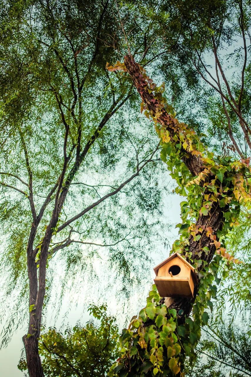 中国唯一以皇帝命名的城市，夏季均温23℃，北方避暑天堂，90%的人却都玩错了地方！