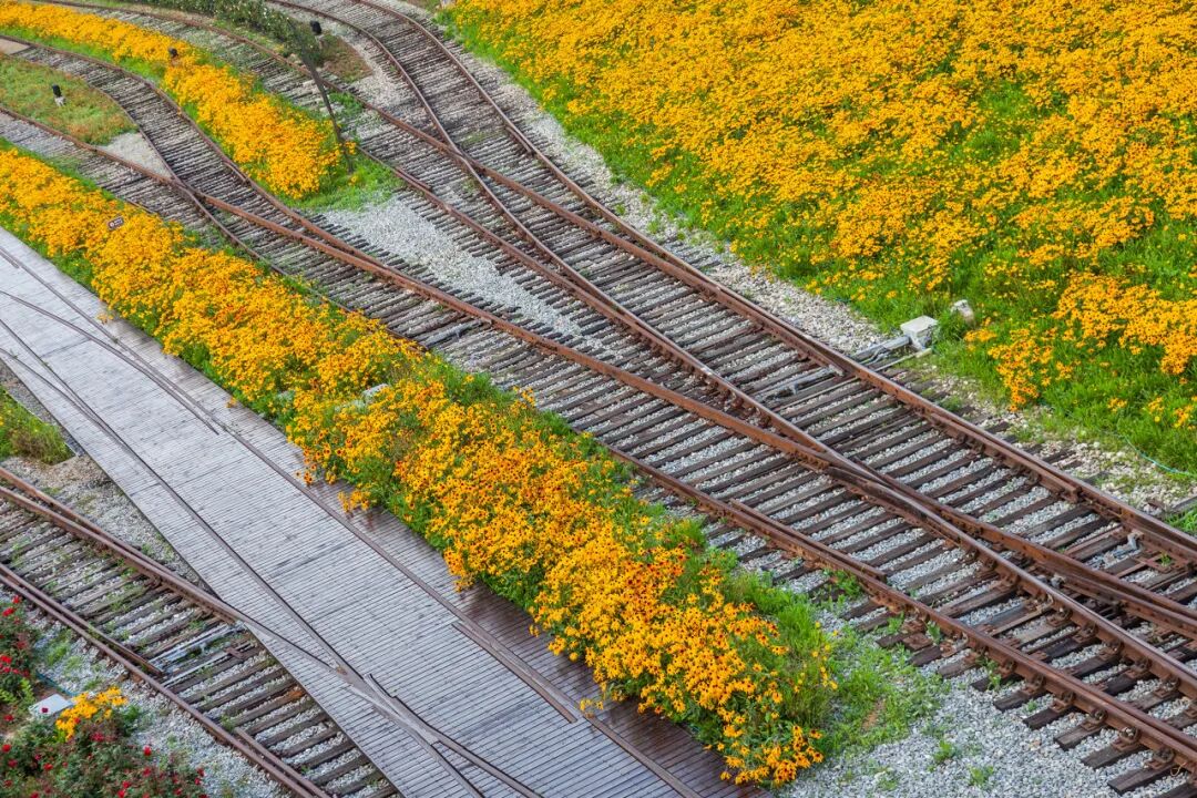 中国唯一以皇帝命名的城市，夏季均温23℃，北方避暑天堂，90%的人却都玩错了地方！