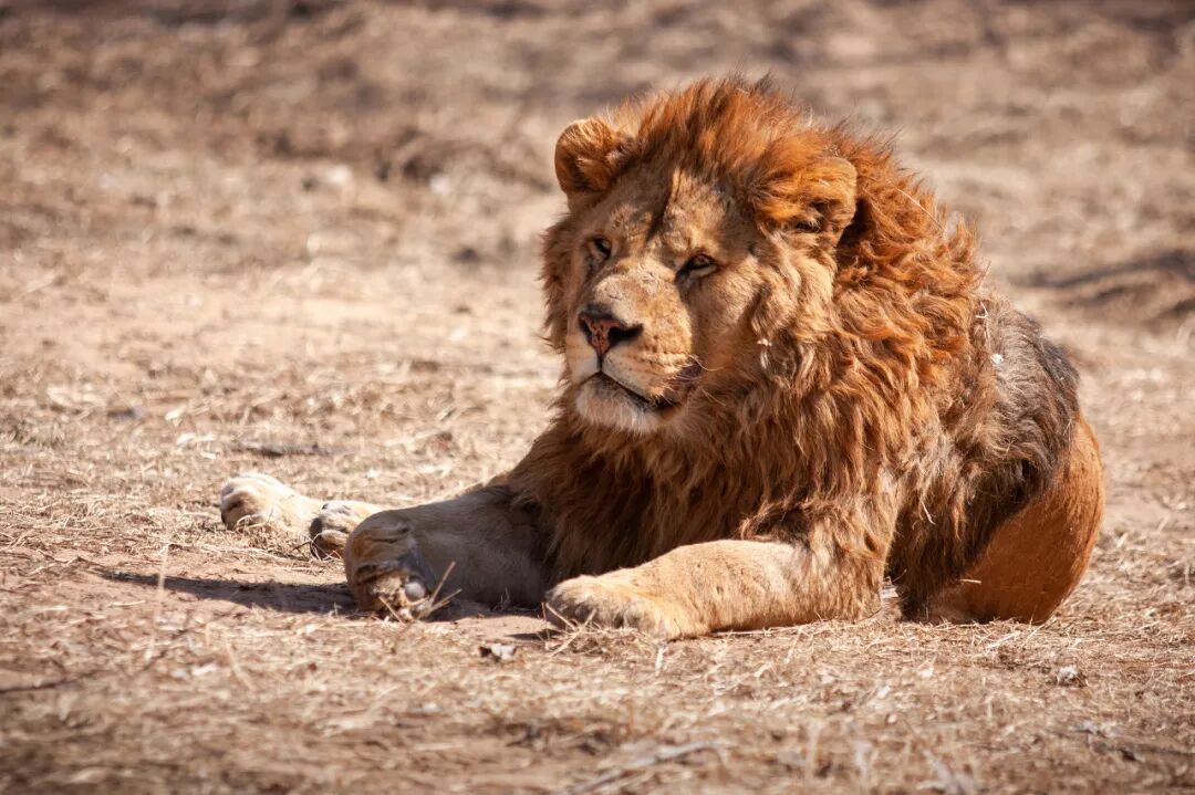 中国唯一以皇帝命名的城市，夏季均温23℃，北方避暑天堂，90%的人却都玩错了地方！